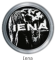 Iena